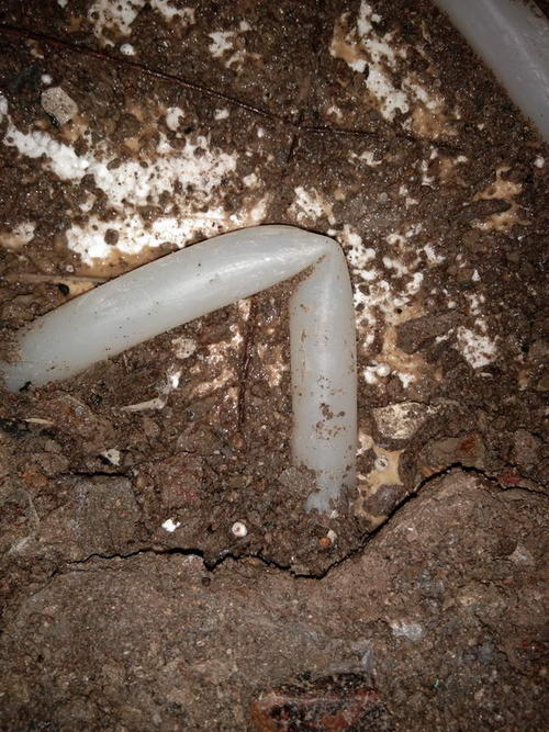 达日堵点精准查找